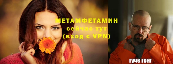 гидра Лагань