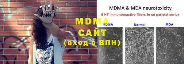 дмт Лиски