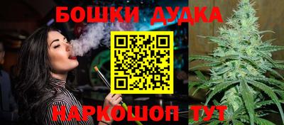 трава Гатчина