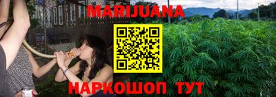 трава Гатчина