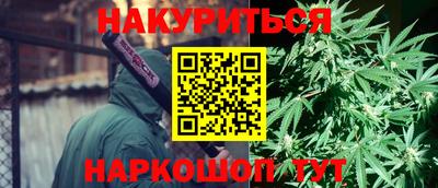 трава Гатчина