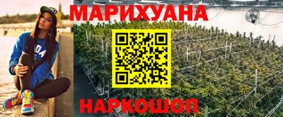 трава Гатчина
