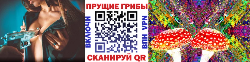 Галлюциногенные грибы GOLDEN TEACHER  где продают наркотики  Химки 