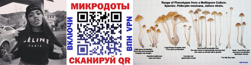 Галлюциногенные грибы GOLDEN TEACHER Химки