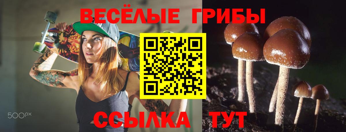 Псилоцибиновые грибы Cubensis  Вход с VPN  Галлюциногенные грибы ЛСД  Химки 