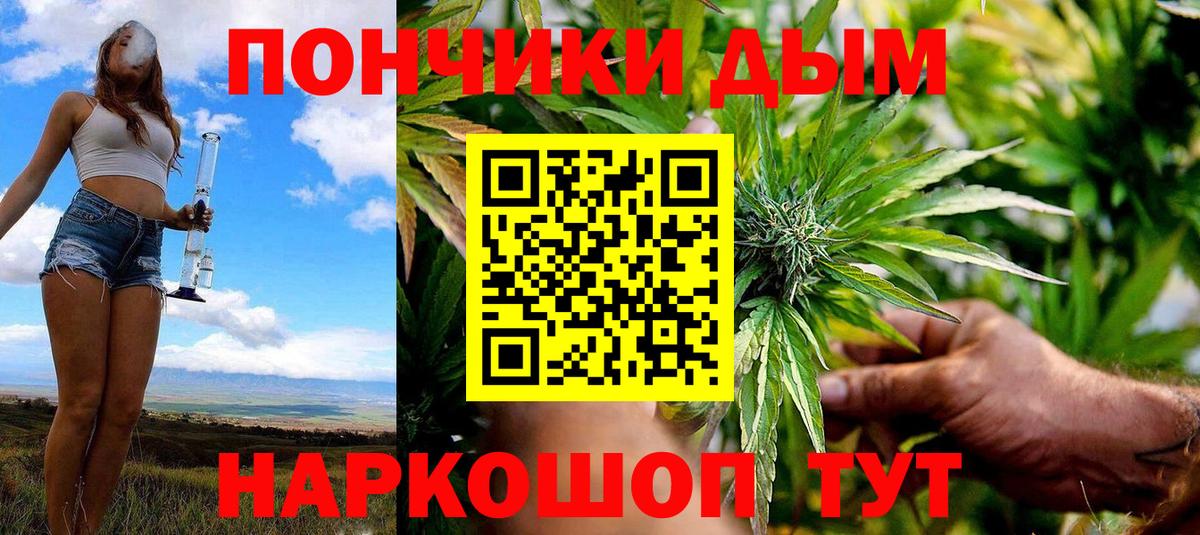 Шишки марихуана THC 21%  Бошки Шишки SATIVA & INDICA  Химки  Вход с VPN  Бошки Шишки VHQ 